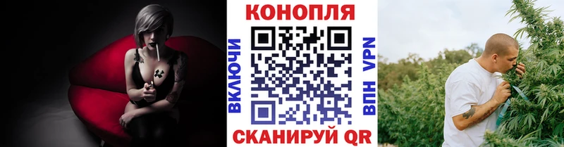 Канабис OG Kush  ОМГ ОМГ tor  Сердобск 